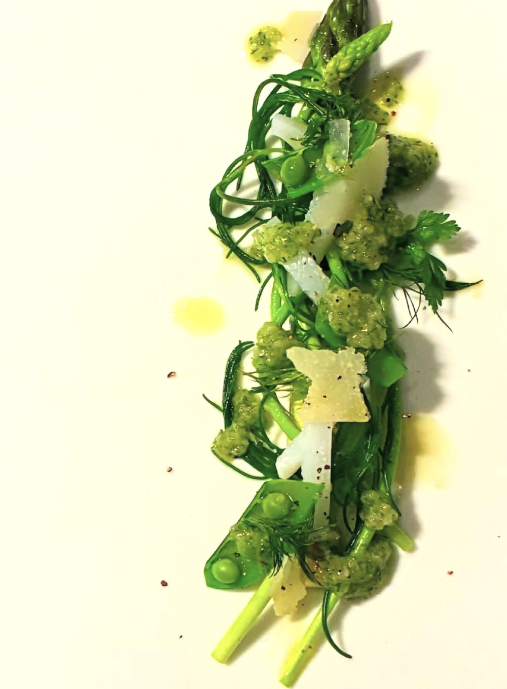 コース料理の一例